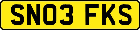 SN03FKS