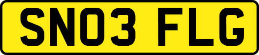SN03FLG