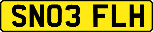 SN03FLH