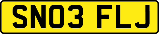 SN03FLJ