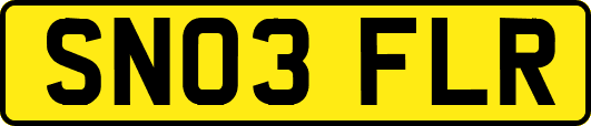 SN03FLR