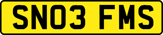 SN03FMS
