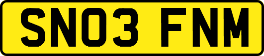 SN03FNM