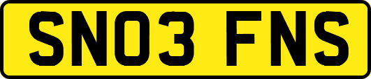SN03FNS
