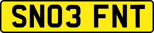 SN03FNT