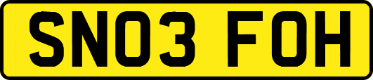 SN03FOH