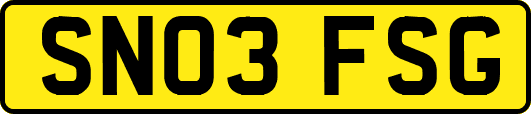 SN03FSG