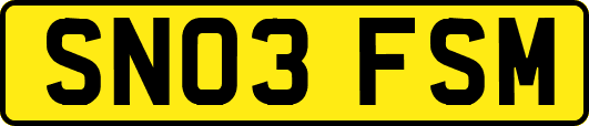 SN03FSM