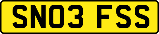 SN03FSS