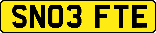 SN03FTE