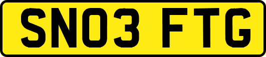 SN03FTG