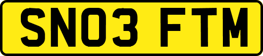 SN03FTM