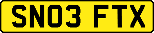 SN03FTX