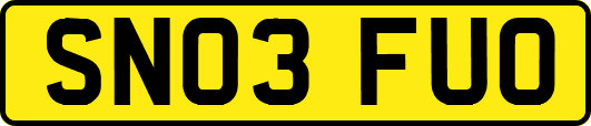 SN03FUO