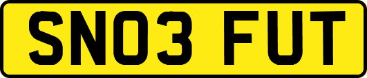 SN03FUT