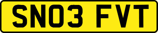 SN03FVT