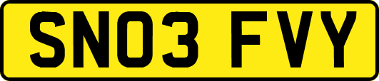 SN03FVY