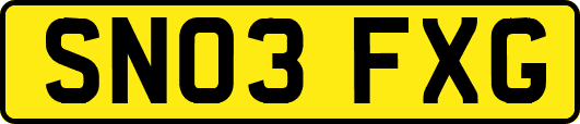 SN03FXG