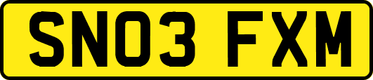 SN03FXM