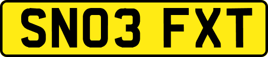 SN03FXT