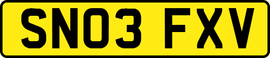SN03FXV