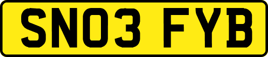 SN03FYB