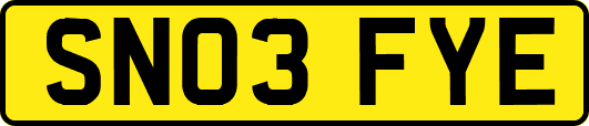 SN03FYE