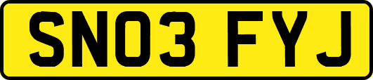 SN03FYJ