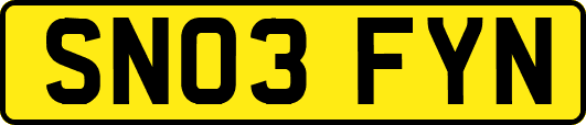 SN03FYN