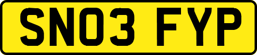 SN03FYP