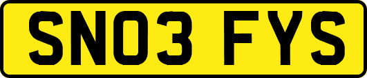 SN03FYS