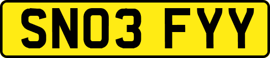 SN03FYY