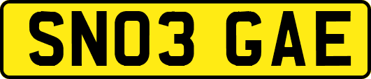 SN03GAE