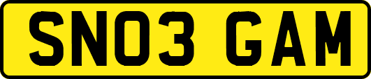 SN03GAM