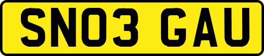 SN03GAU