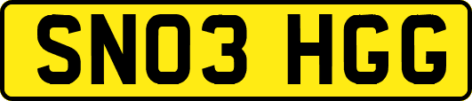SN03HGG