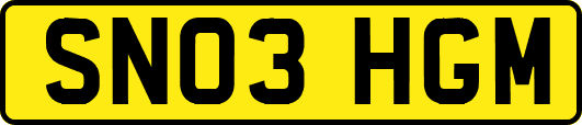 SN03HGM
