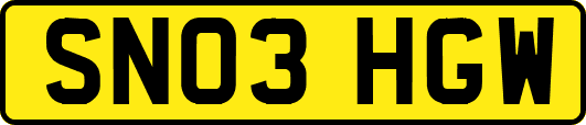 SN03HGW