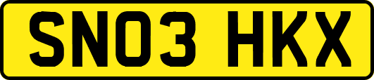 SN03HKX