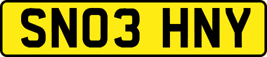 SN03HNY