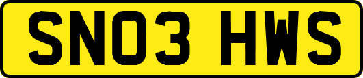SN03HWS