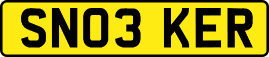 SN03KER