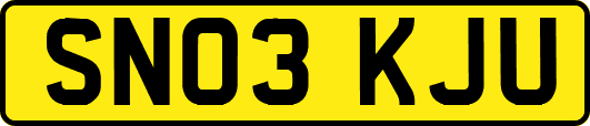 SN03KJU