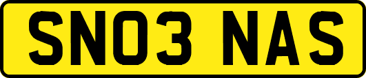 SN03NAS