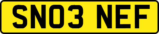 SN03NEF