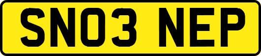 SN03NEP