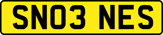 SN03NES