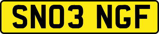 SN03NGF