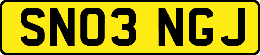 SN03NGJ