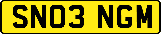 SN03NGM